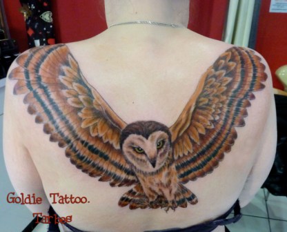 goldie-tattoo-tarbes-15-11-2014-chouette-rousse.jpg