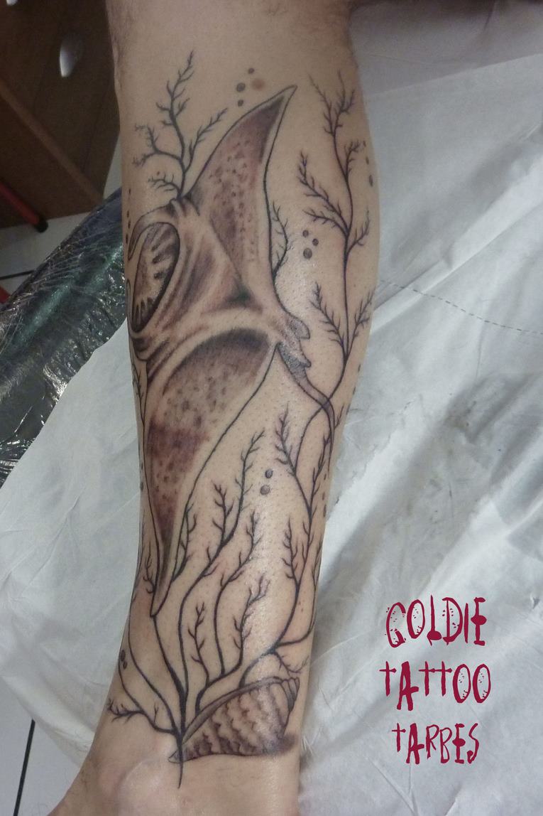 goldie-tattoo-tarbes-18-1-2014raie-et-coquillage-hdtv-1080site2.jpg