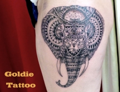 Goldie--Tattoo-Tarbes.juin2015..elephant-dentelle.web..jpg