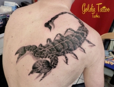 Goldie-Tattoo-Tarbes04.2015.maxi-scorpion.web.jpg