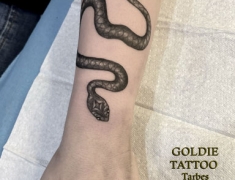 goldie-tattoo-2022.web.serpent-poignet-jpg.jpg