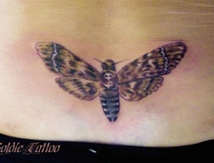 goldie-tattoo-sphinx-09-2012-large.jpg