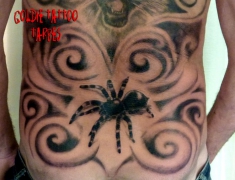 goldie-tattoo-tarbes-25-01-2014-mygale-dos-hdtv-1080site2.jpg