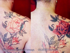goldie-tattoo-tarbes-24-09-2012-001couverture-petite-rose-par-grande-roses-large.jpg