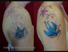 goldie-tattoo-tarbes-24-09-2012-couverture-hirondelle-large.jpg