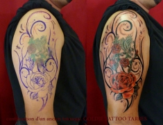 goldie-tattoo-tarbes-continuation-dun-aigle-ancien-10-2012-large.jpg