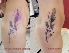 goldie-tattoo-tarbes-reprise-tattoo-hanche-09-2012-large.jpg
