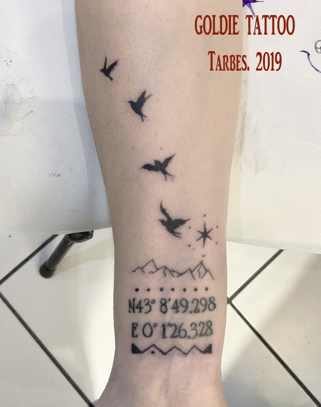 IMG_03goldie tattoo tarbes.2019.pyrenees envol oiseaux.jpg