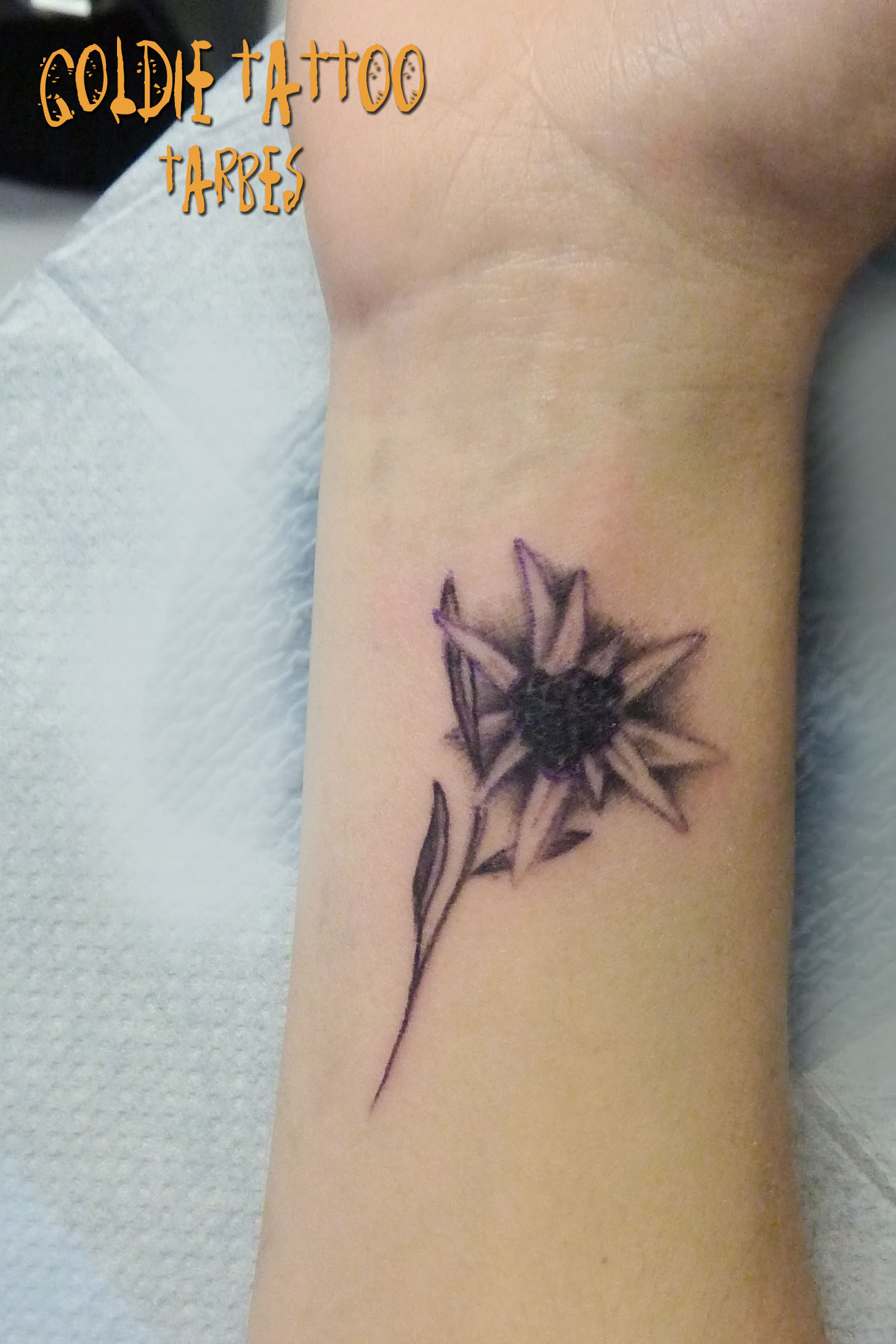 Goldie Tattoo Tarbes.12.2013.edelweiss poignet.jpg