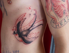 goldie-tattoo-tarbes-hirondelle-double-perso-04-2013-large.jpg