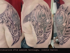 goldie-tattoo-tarbes-22-03-2014-continuation-tattoo-noir-et-gris-hdtv-1080site2.jpg