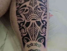 goldie-tattoo-tarbes-9-11-2013-continuation-maori-stade-toulousain-hdtv-1080site10-11-13-a.jpg
